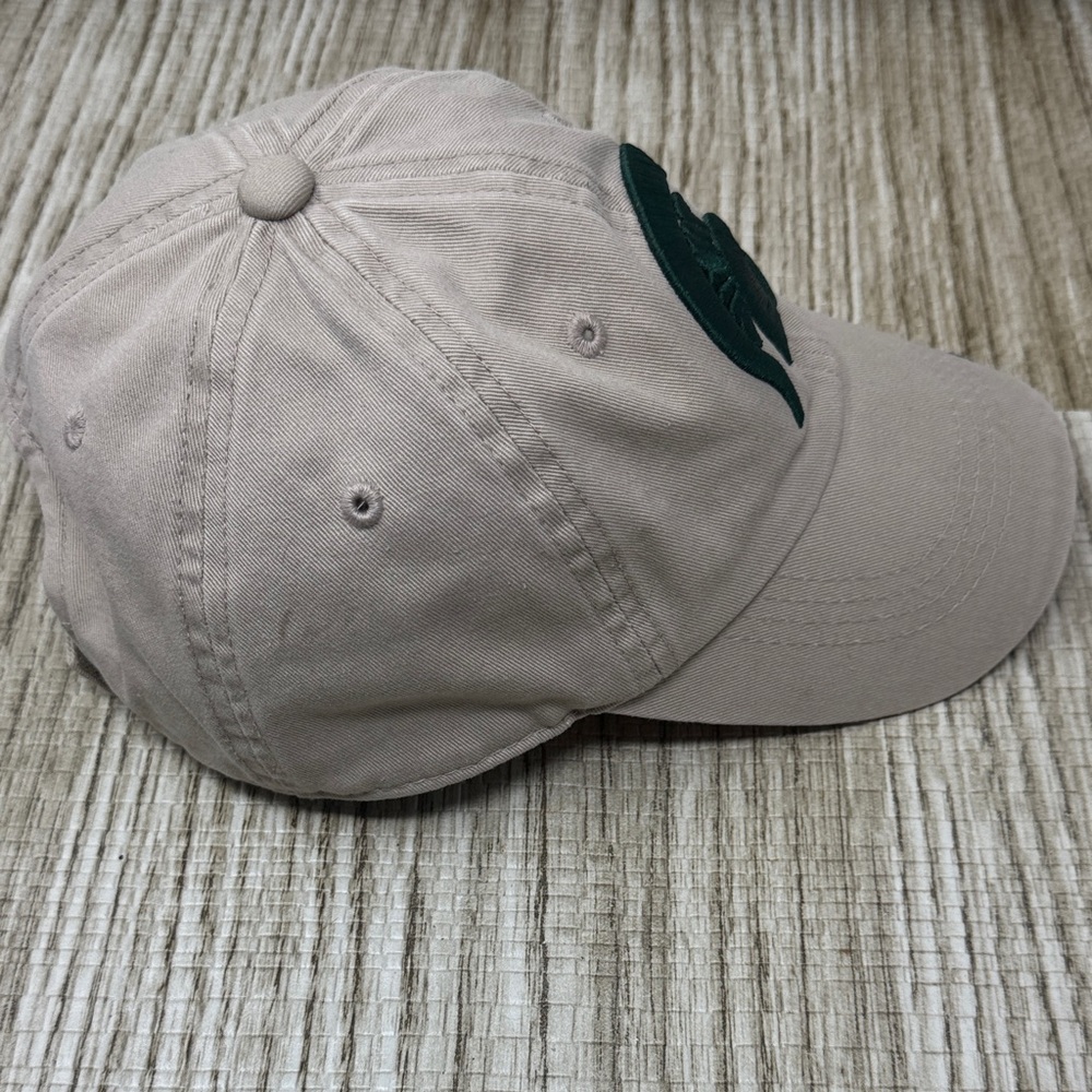 Michigan State Hat - Picture 5 of 10